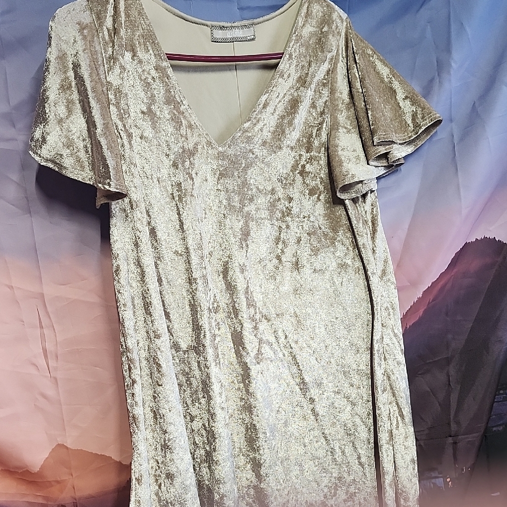&Chic Beige Women's Dress